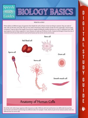 cover image of Biology Basics